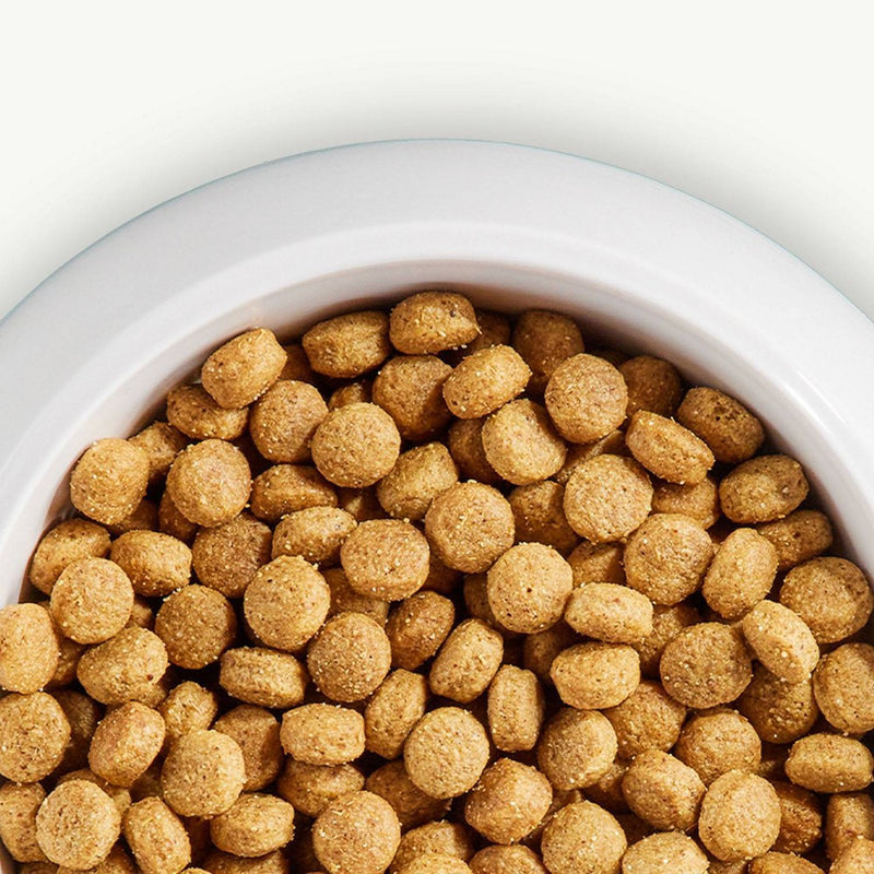 NUTRO Natural Choice Chicken and Brown Rice Recipe Adult Dry Dog Food - 5lbs