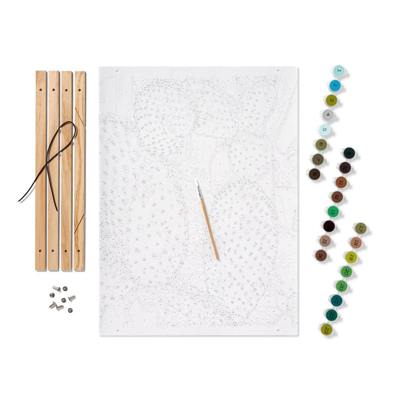 Paint by Number Kit Cactus - Mondo Llama