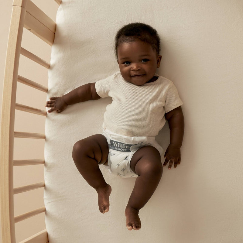 Millie Moon Overnight Diapers - Size 5 - 50ct