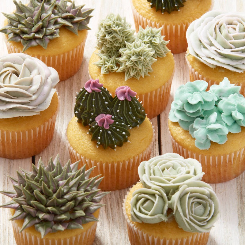 Wilton 9pc Starter Decorating and Piping Tip Set
