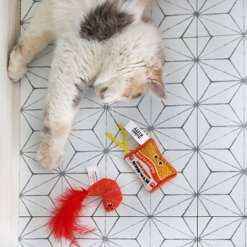 Quirky Kitty Ramen Cat Toy - 2pk