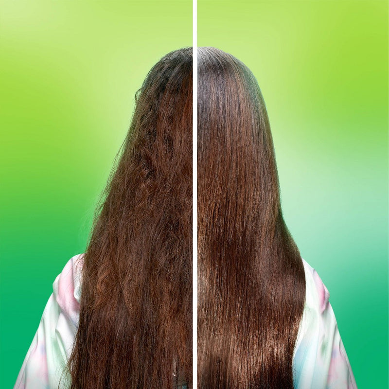 Garnier Fructis with Active Fruit Protein Sleek & Shine Conditioner - 33.8 fl oz