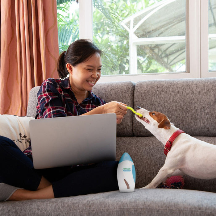 Flonase Sensimist 24-Hour Allergy Relief Nasal Spray - Fluticasone Furoate - 0.31 fl oz/2pk