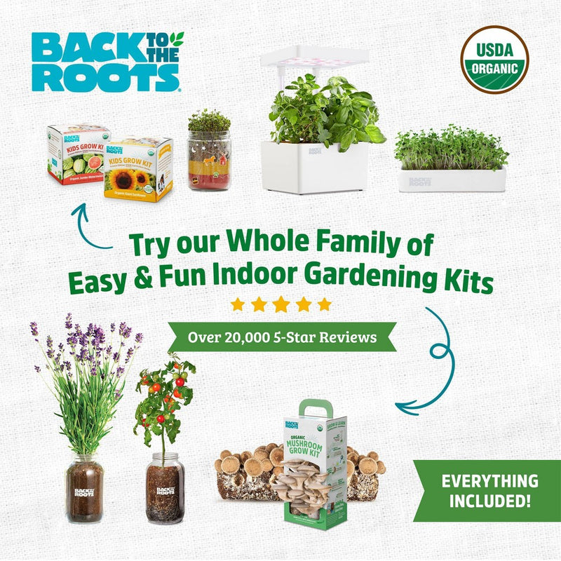 Back to the Roots Organic Alpine Strawberry Kids Grow Kit Science Edition