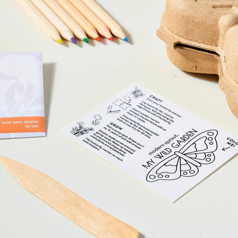 Modern Sprout Curious Critter - Butterfly Activity Kit