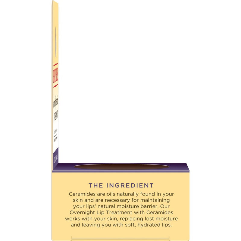 Burt's Bees Natural Overnight Intensive Lip Treatment - Ultra-Conditioning Lip Care - 0.25oz
