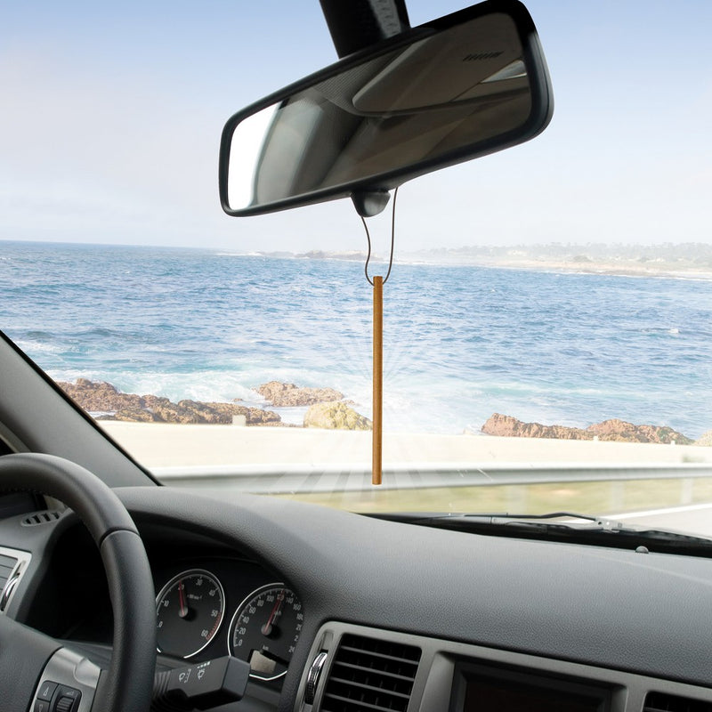 Enviroscent 3pc Car Air Freshener Seaside Coconut