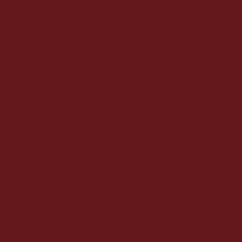Sally Hansen Insta-Dri Nail Color - 393 Cinna-snap - 0.31 fl oz