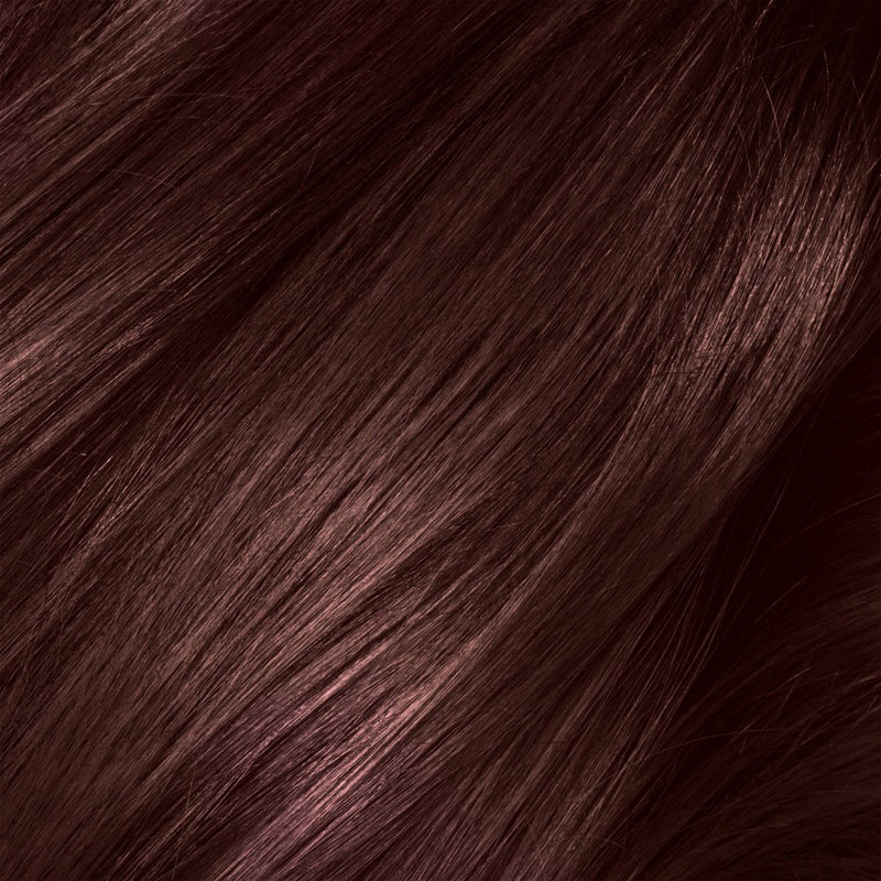 L'Oreal Paris Superior Preference Fade-Defying Color + Shine System - 6.5 fl oz - 4SM Dark Soft Mahogany Brown - 1 Kit