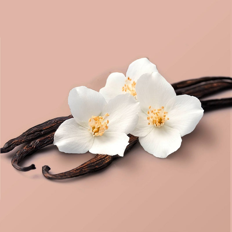 Beloved Coconut & Warm Vanilla Hand Cream Lotion - 1oz