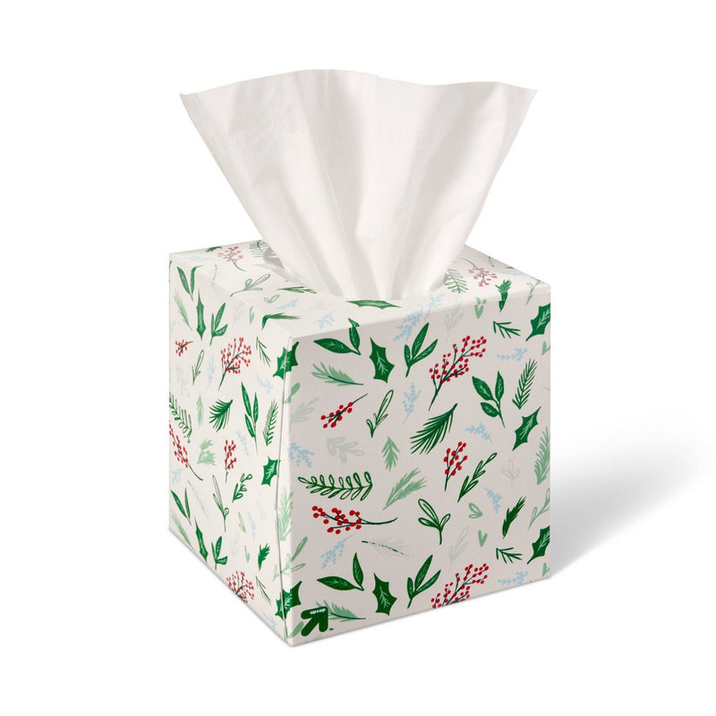 Holiday Ultra Soft Facial Tissue - Holly - 65ct - up & up