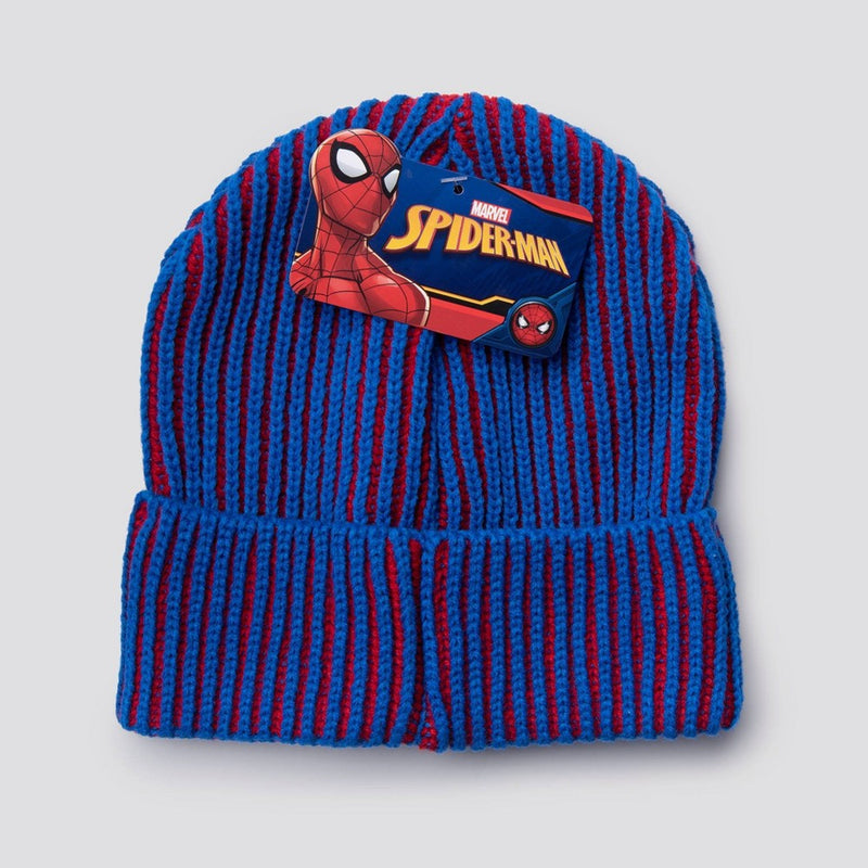Boys' Spider-Man Beanie - Blue