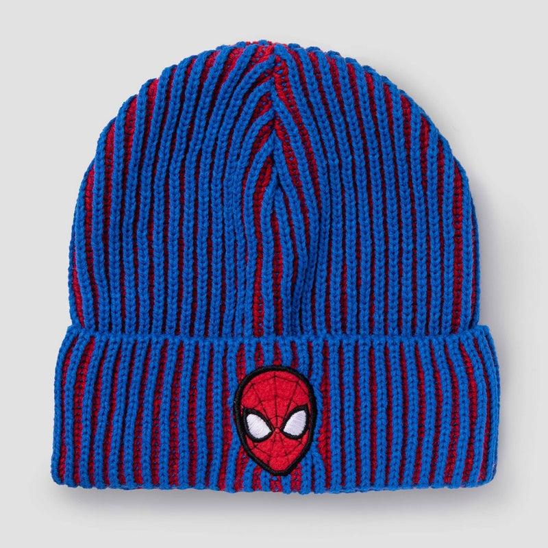 Boys' Spider-Man Beanie - Blue