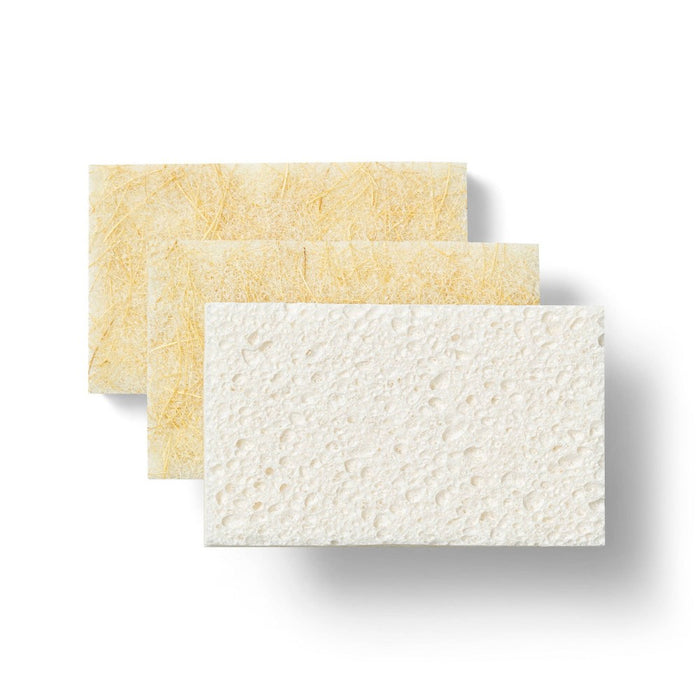 Natural Non-Scratch Scrubber Sponges - 3ct - Everspring