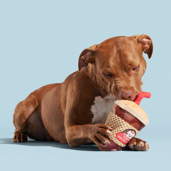 BARK Cold Chew Coffee Dog Toy