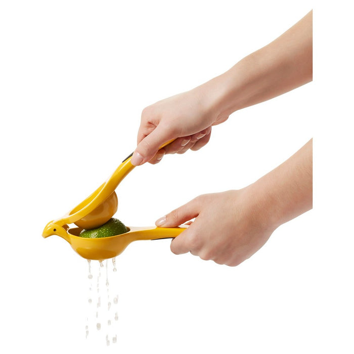 OXO Softworks Citrus Squeezer