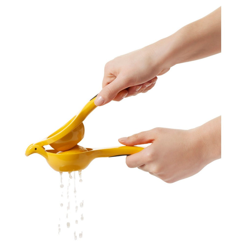 OXO Softworks Citrus Squeezer