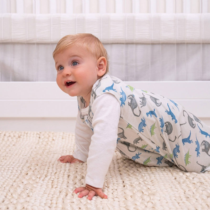 HALO Innovations 100% Cotton Sleepsack Wearable Blanket - Water Color Dinos - S