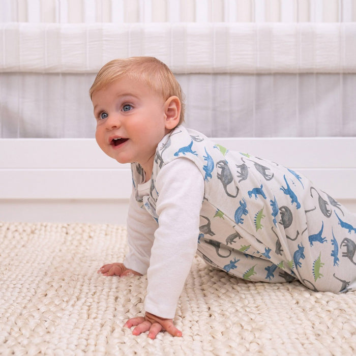 HALO Innovations 100% Cotton Sleepsack Wearable Blanket - Water Color Dinos - S