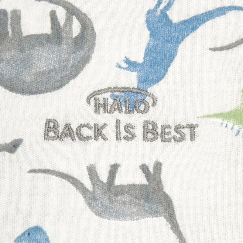 HALO Innovations 100% Cotton Sleepsack Wearable Blanket - Water Color Dinos - S