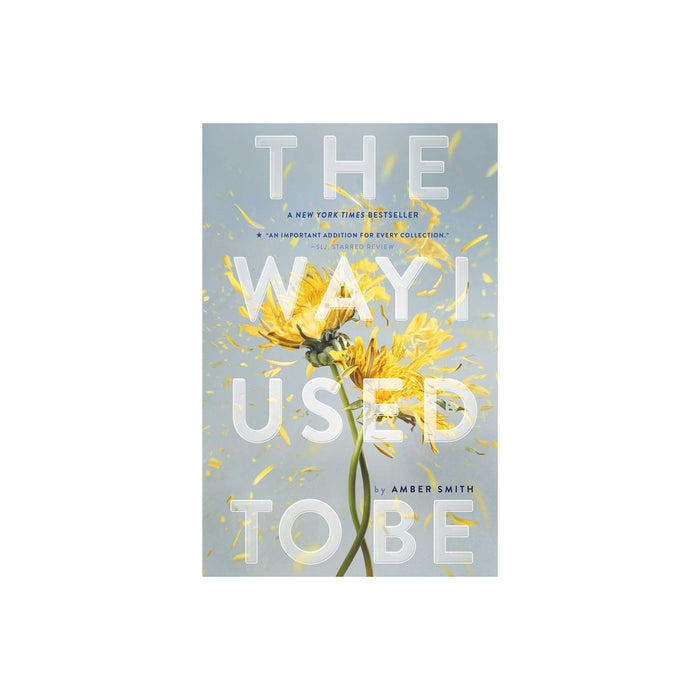 Way I Used to Be (Reprint) (Paperback) (Amber Smith)