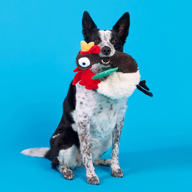 BARK Cock-a-Doodle-Chew Dog Toy