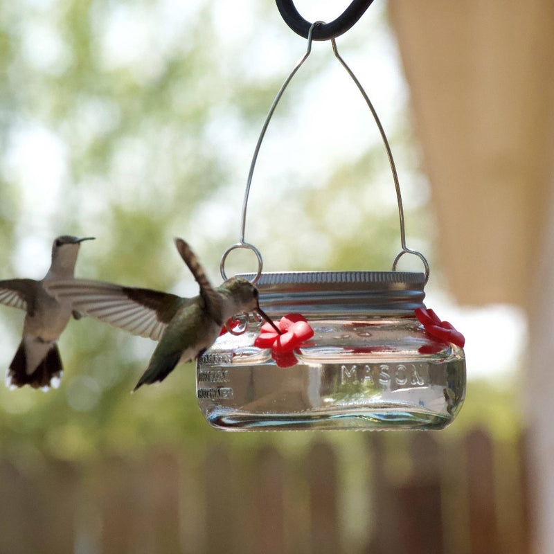 Nature's Way Bird Products 6oz Mason Jar Hummingbird Glass Feeder 2.5"