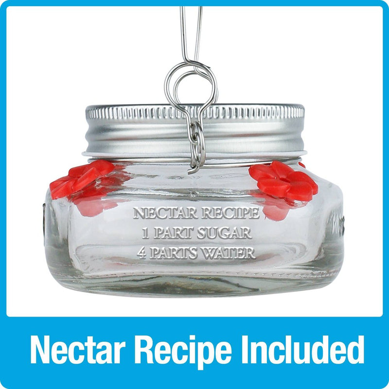 Nature's Way Bird Products 6oz Mason Jar Hummingbird Glass Feeder 2.5"
