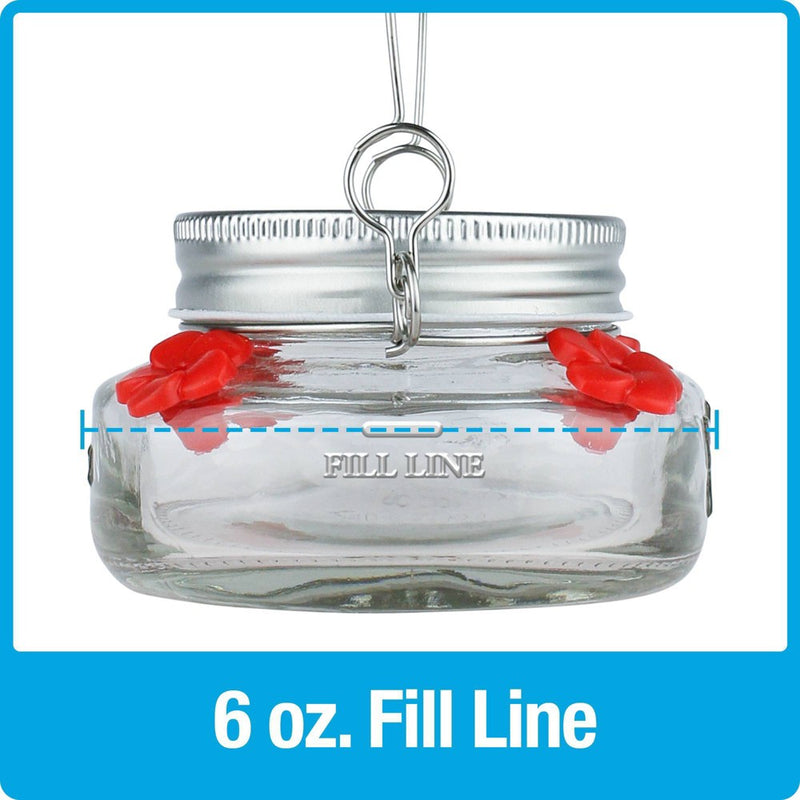 Nature's Way Bird Products 6oz Mason Jar Hummingbird Glass Feeder 2.5"