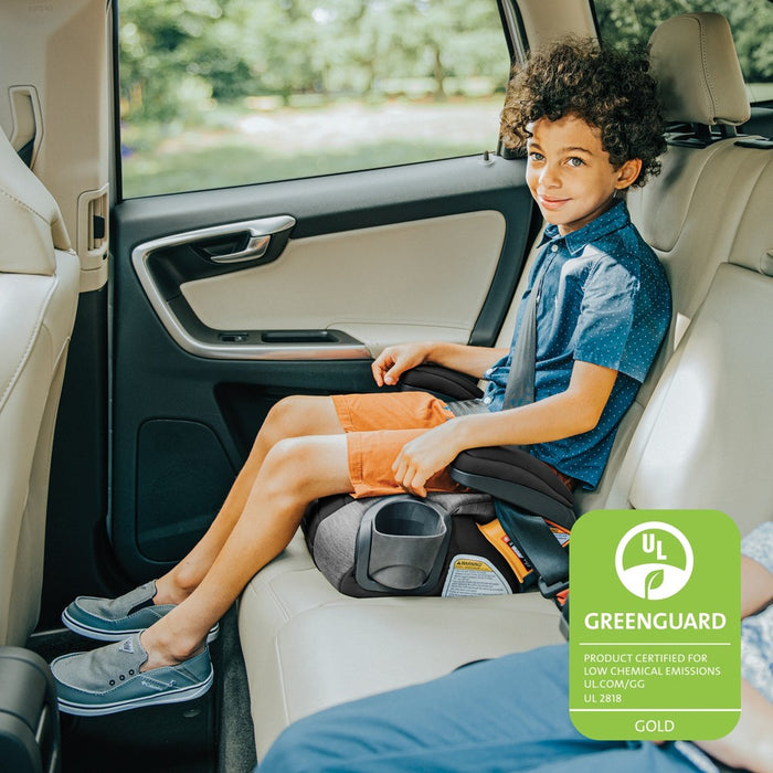 Chicco GoFit Cleartex Backless Booster Car Seat - Shadow