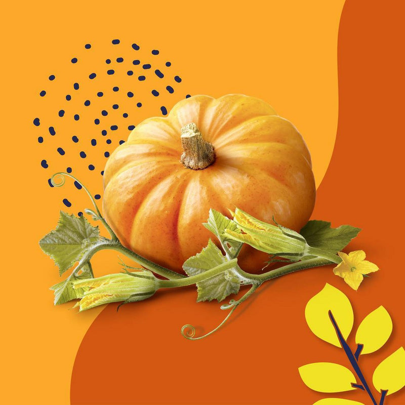 Beloved Pumpkin & Tonka Foaming Hand Lotion - 1oz