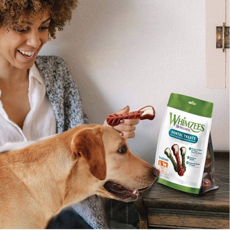 WHIMZEES by Wellness Large Value Bag Dental Chew Dog Treat with Vegetable Flavor - 12.7oz