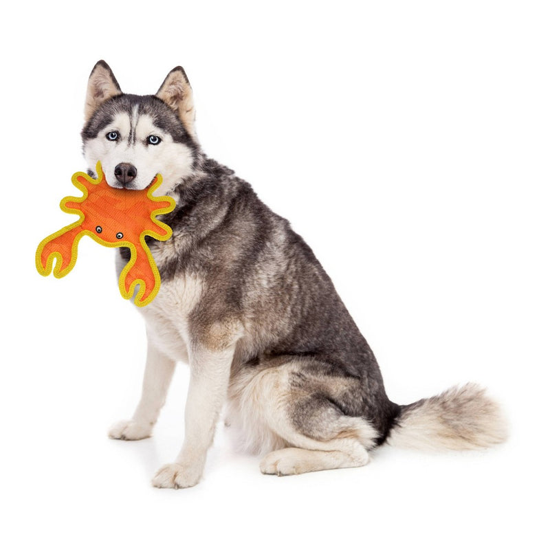 DuraForce Crab Dog Toy - Orange