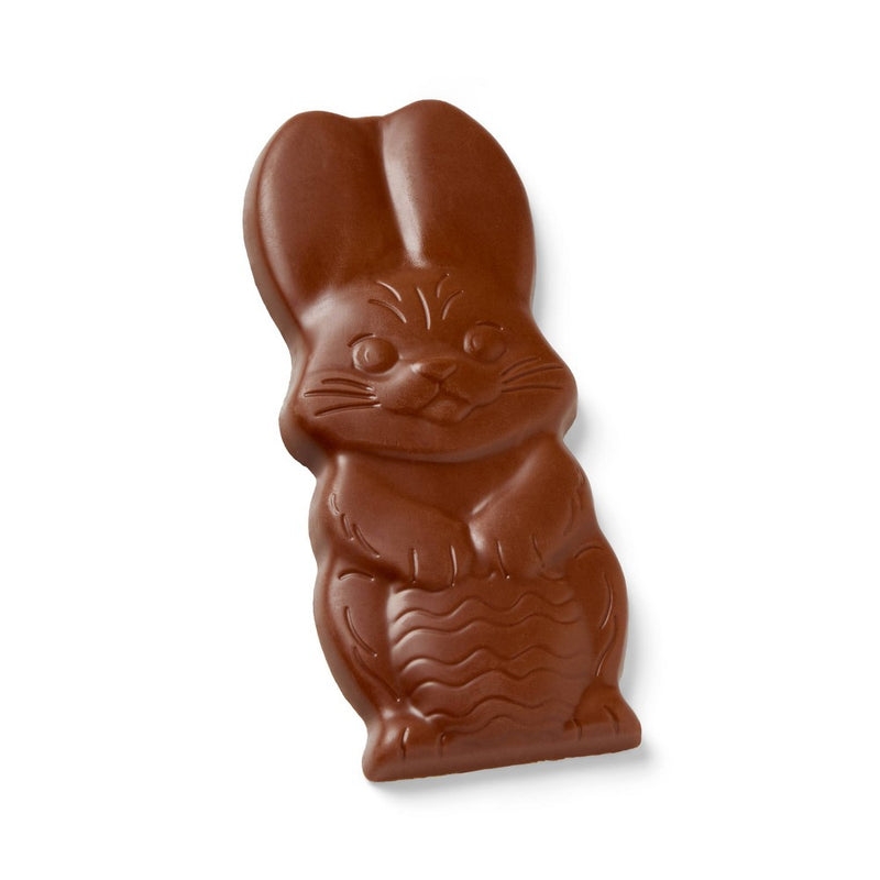 Spring Milk Chocolate Bunny Flow - 2oz - Favorite Day