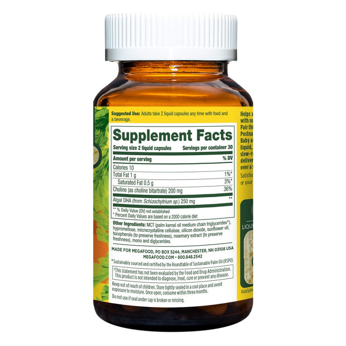 MegaFood Baby & Me 2 Prenatal Vegan DHA & Choline Supplement - Brain Support - Capsules - 60ct