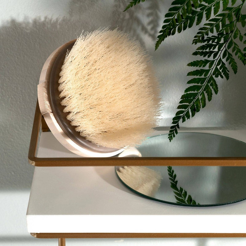 EcoTools Dry Body Brush