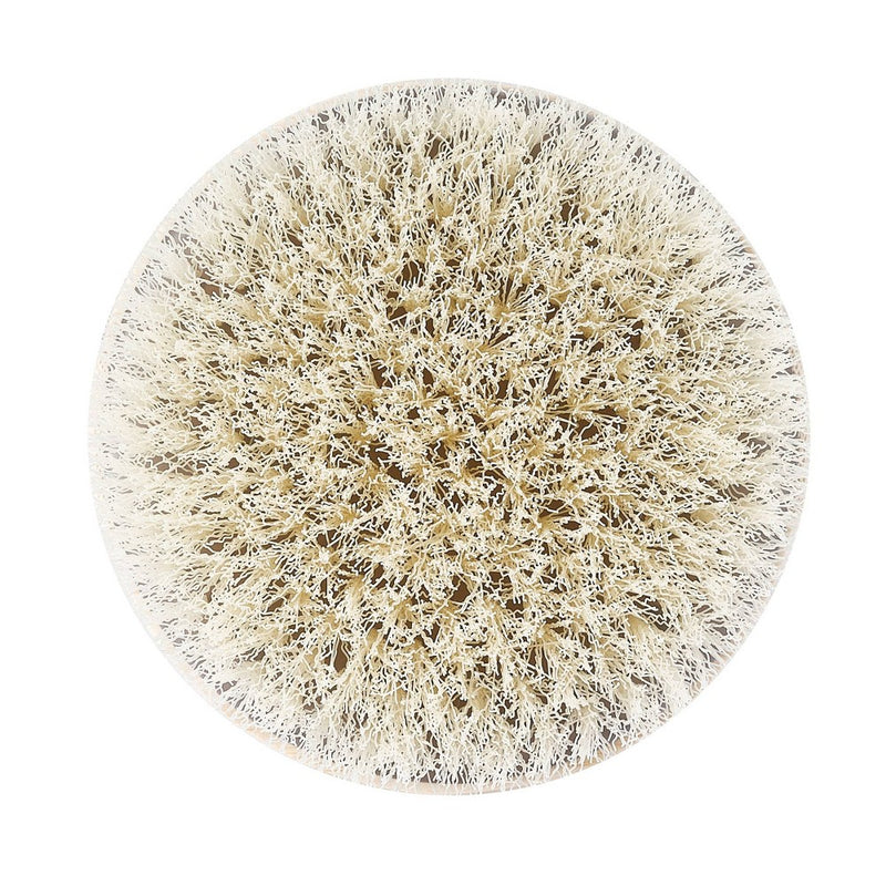 EcoTools Dry Body Brush
