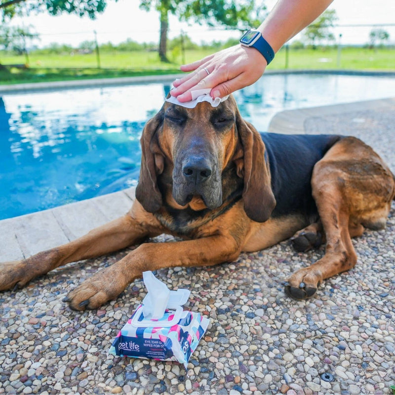 Pet Life Unlimited Eyes and Ears Dog Wipes - 30ct