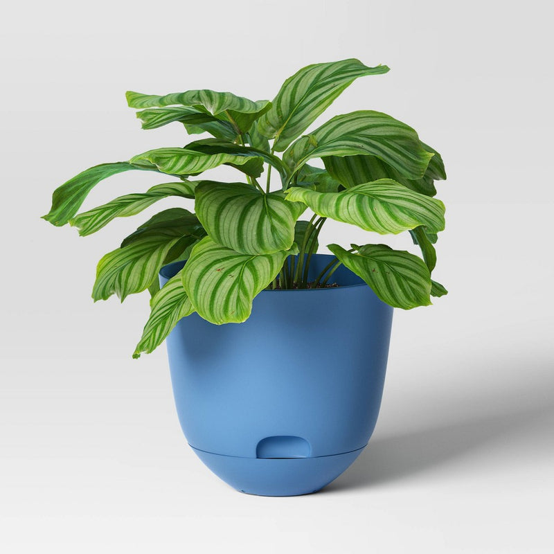 Self-Watering Plastic Indoor Outdoor Planter Pot Quilted Blue 12"x12" - Room Essentials