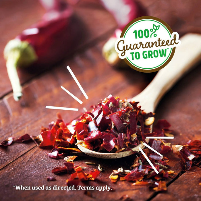 Back to the Roots Organic Chili Pepper Grow Kit