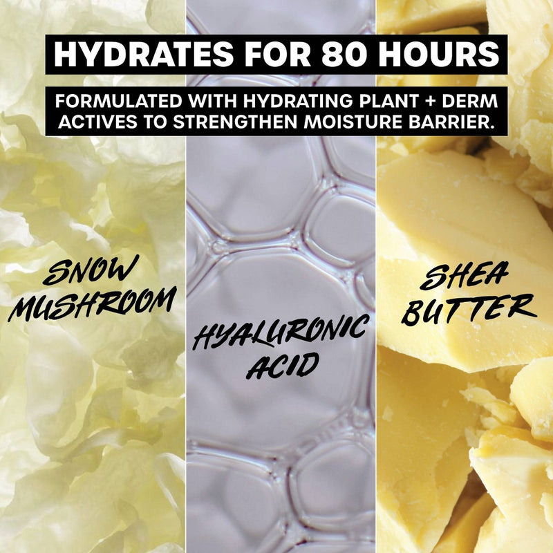 Thayers Natural Remedies Soak it Up 80hr Liquid Face Moisturizer - 2.5 fl oz