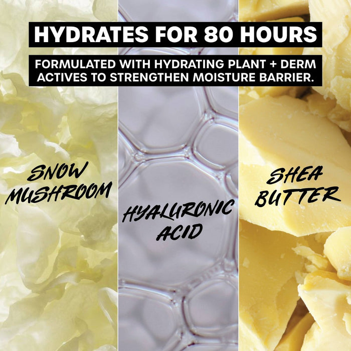 Thayers Natural Remedies Soak it Up 80hr Liquid Face Moisturizer - 2.5 fl oz