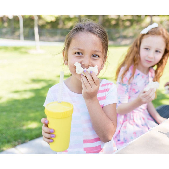 Re-Play 10 fl oz Straw Cups with Silicone Straw - Sedona - 4pk