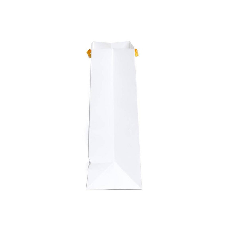 Large Cub Sun Placed with Foil Gift Bag - Spritz