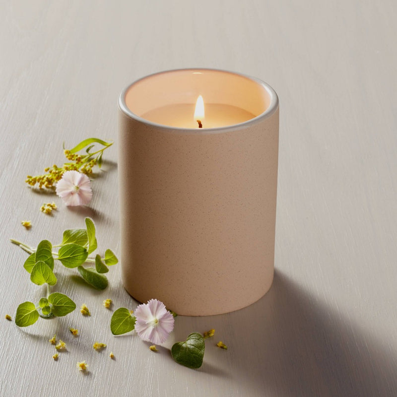 Mini Textured Ceramic Herbs Jar Candle Beige/Cream 6.5oz - Hearth & Hand with Magnolia