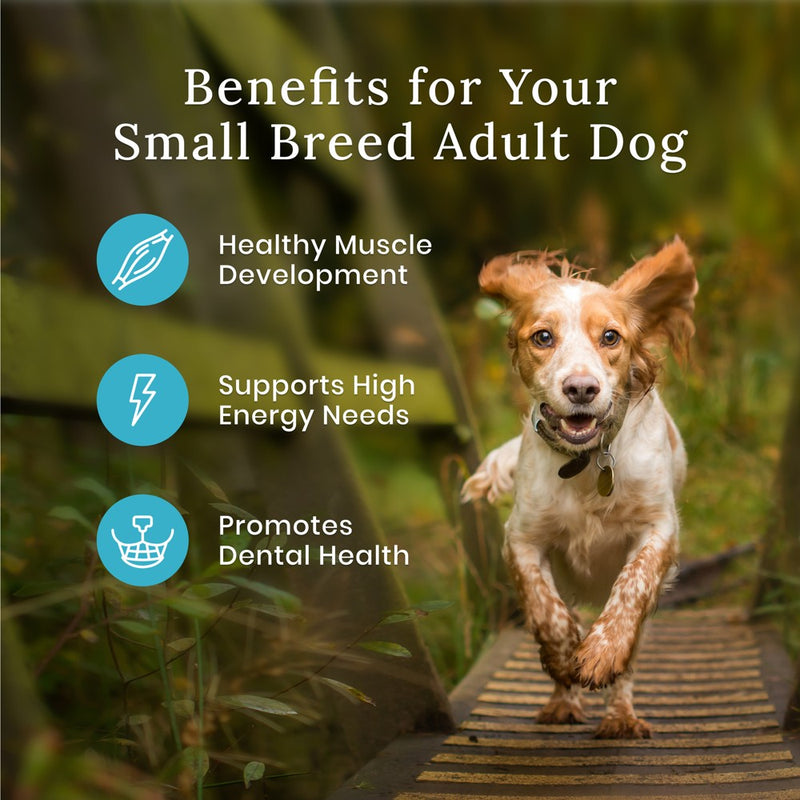Blue Buffalo Wilderness High Protein Natural Small Breed Adult Dry Dog Food plus Wholesome Grains with Chicken - 13lbs