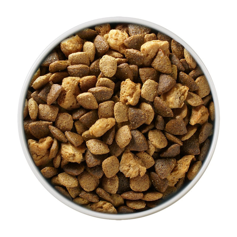 Purina ONE SmartBlend Large Breed Puppy Chicken Flavor Dry Dog Food - 16.5lbs (LOCAL PICKUP ONLY)