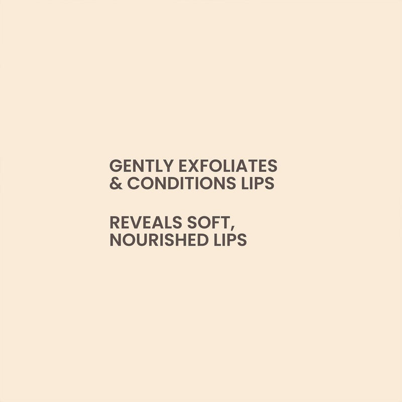 Burt's Bees Natural Conditioning Lip Scrub with Exfoliating Honey Crystals - 0.25oz