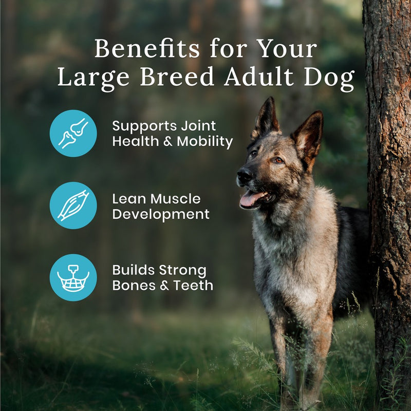 Blue Buffalo Wilderness High Protein Natural Large Breed Adult Dry Dog Food with Chicken Flavor - 24lbs (LOCAL PICKUP ONLY)