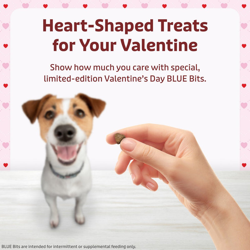 Blue Buffalo Valentine Bites All Ages Training Dog Treats with Chicken Flavor - 4.5oz